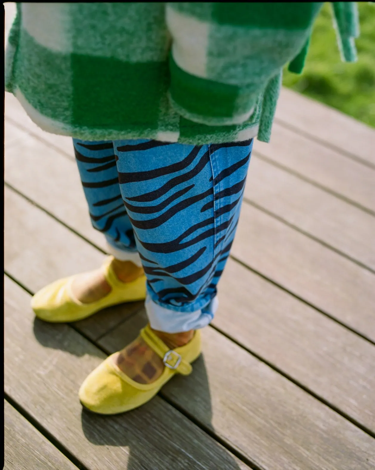 Chino Zippy Zebra